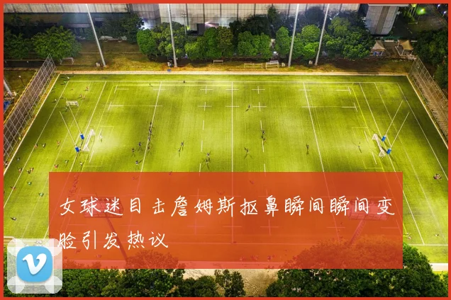 女球迷目击詹姆斯抠鼻瞬间瞬间变脸引发热议