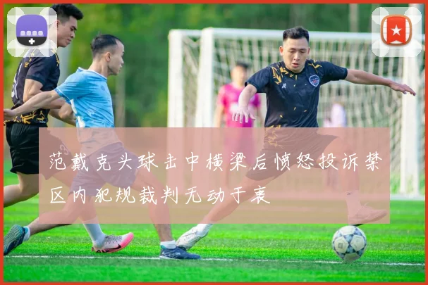 范戴克头球击中横梁后愤怒投诉禁区内犯规裁判无动于衷